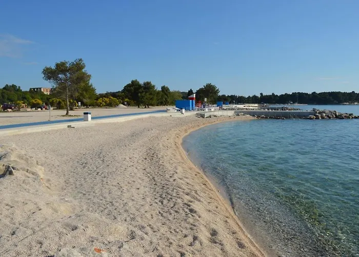 Silvana 74 * Πούλα