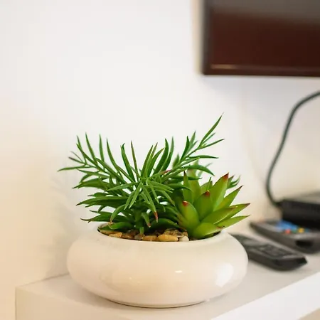 Διαμέρισμα Silvana 74 *